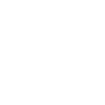 Black ice logo white